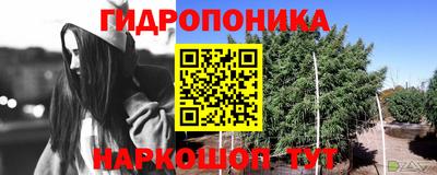 прущая мука Будённовск