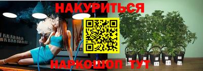прущая мука Будённовск